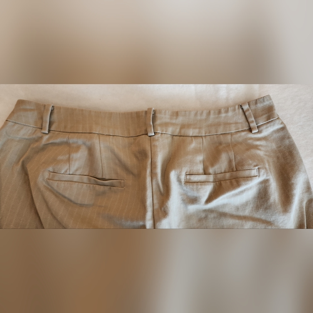 Lane Bryant Beige Pinstripe Trousers - Picture 2 of 12